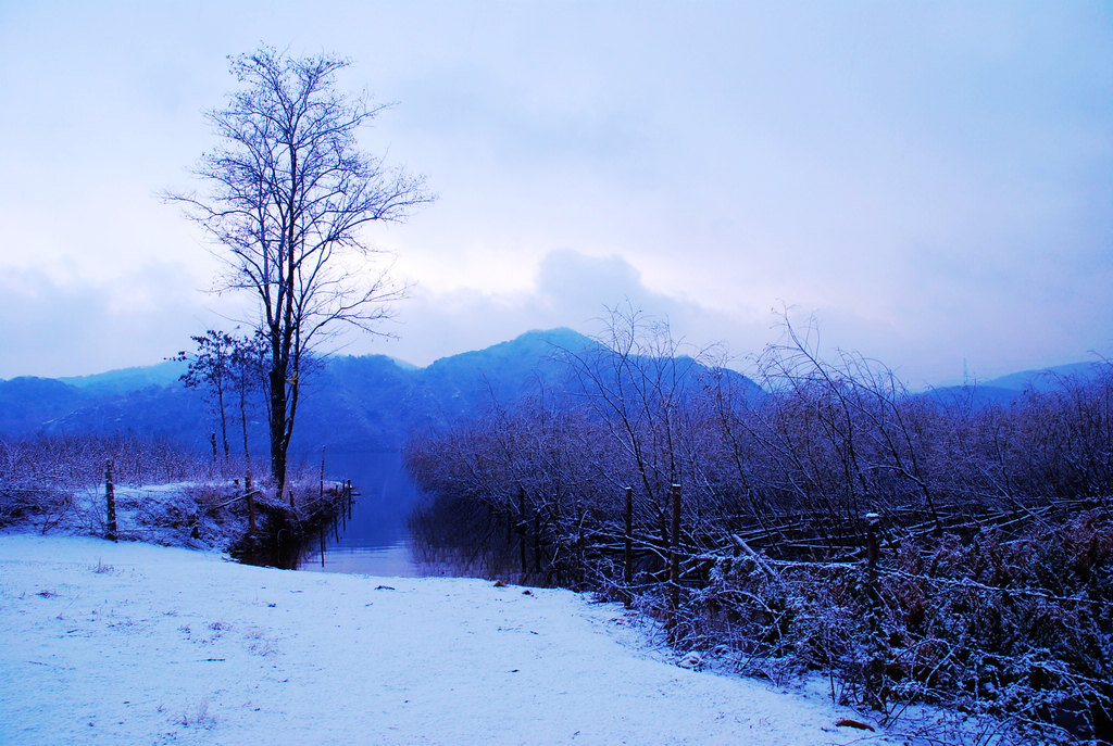 北方雪 摄影 牛老