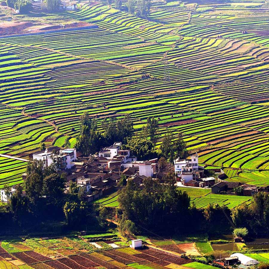 七彩之梦.东川红土地 摄影 飘然