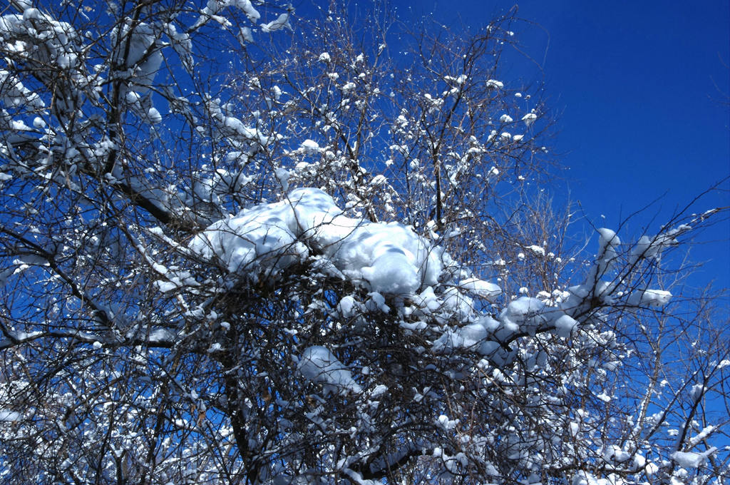 蔚蓝的天 摄影 雪色年华