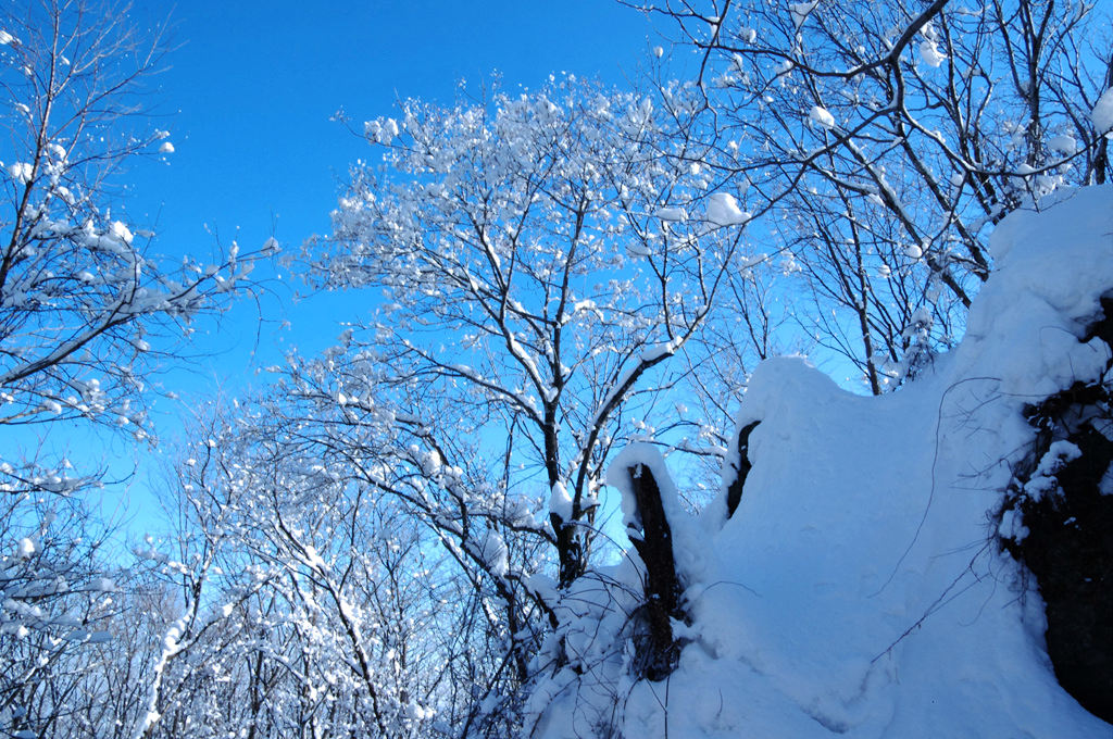 蔚蓝的天 摄影 雪色年华