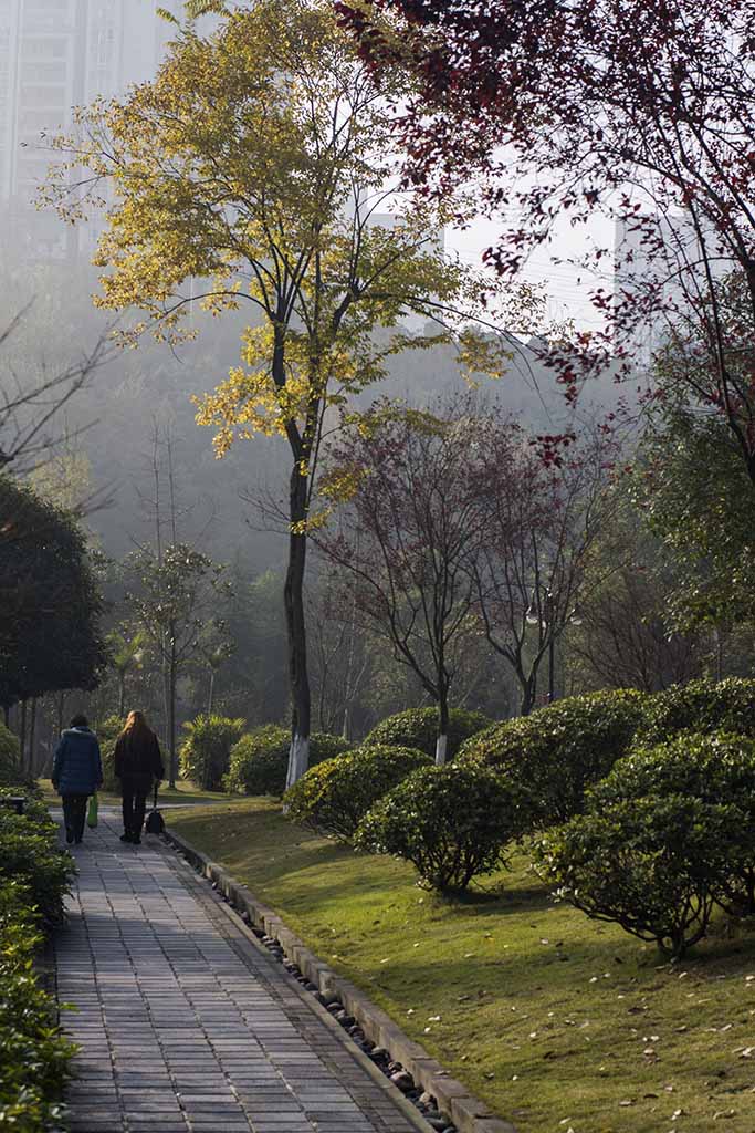 龙头寺公园 摄影 南哥定影