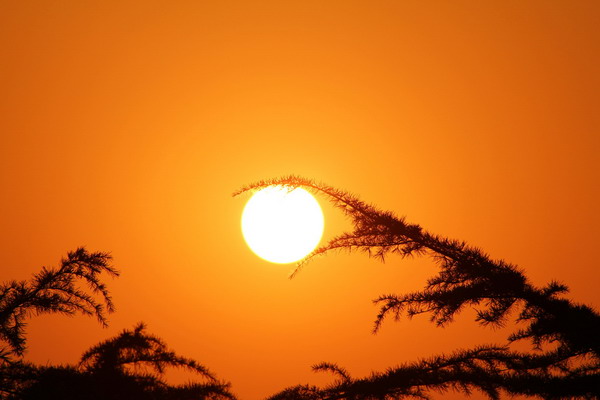 夕阳之光 摄影 爱摄爱影