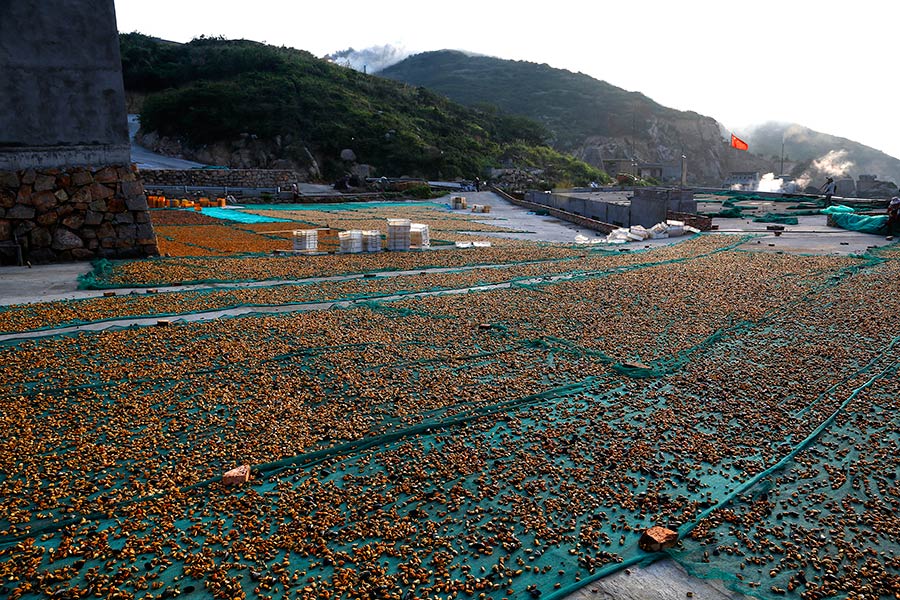 2013之秋一行摄嵊泗（晒淡菜） 摄影 东海冲锋衣