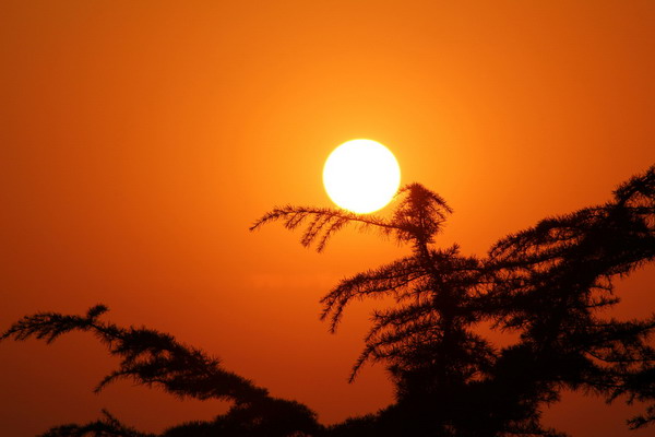 夕阳之韵 摄影 爱摄爱影