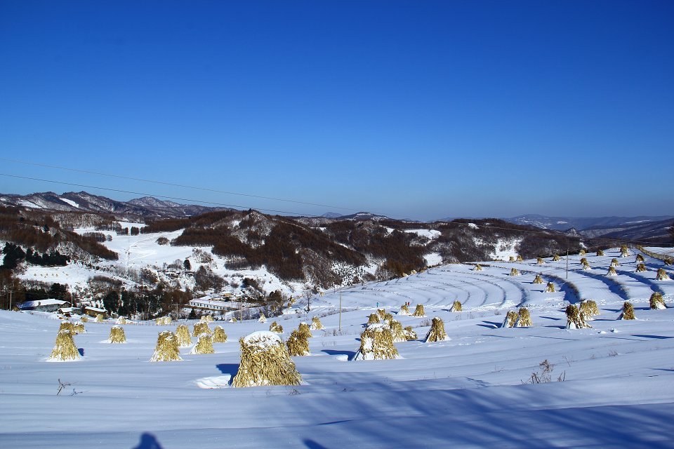 山里人家5 摄影 长白青松