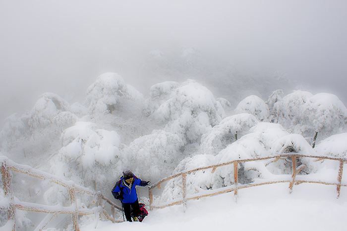 雪中行 摄影 沧海1号