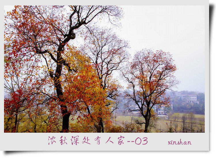 浓秋深处有人家-03 摄影 xinshan