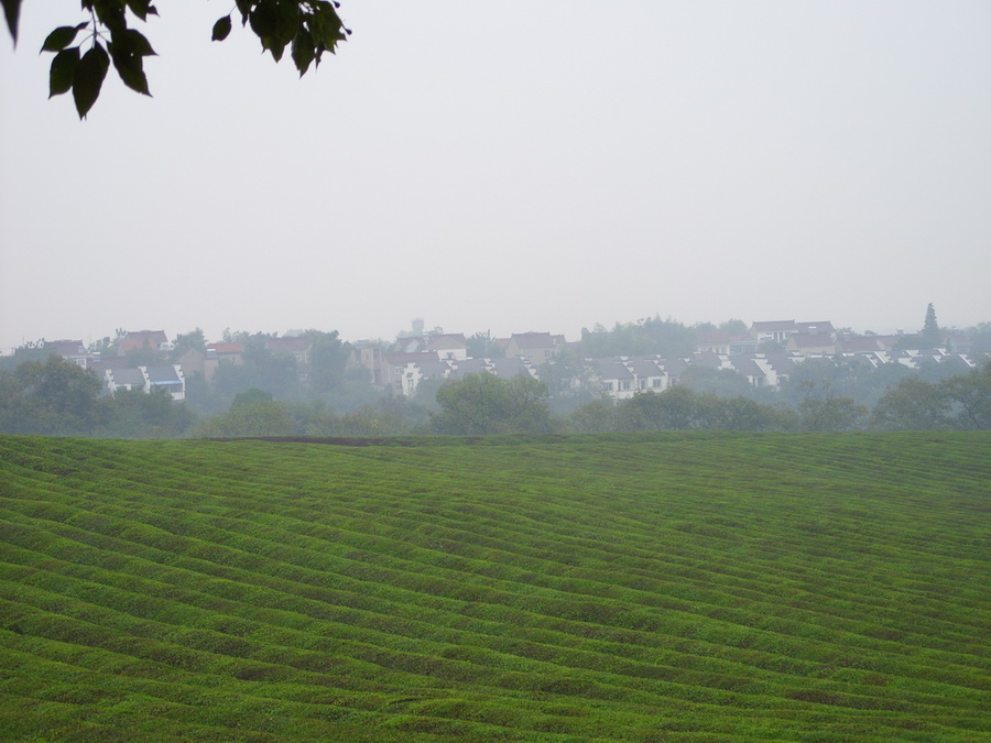 驾车去看景 摄影 牯牛绛