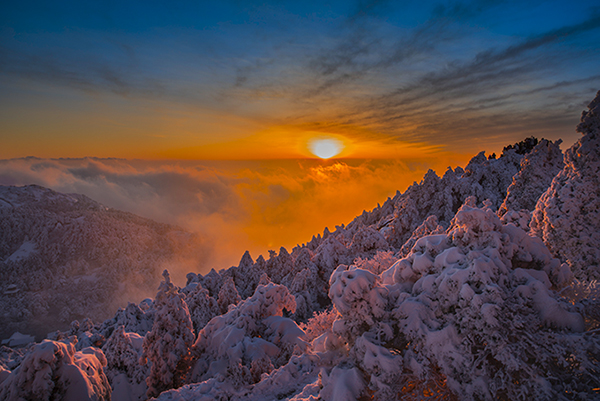 雪后夕阳 摄影 沧海1号