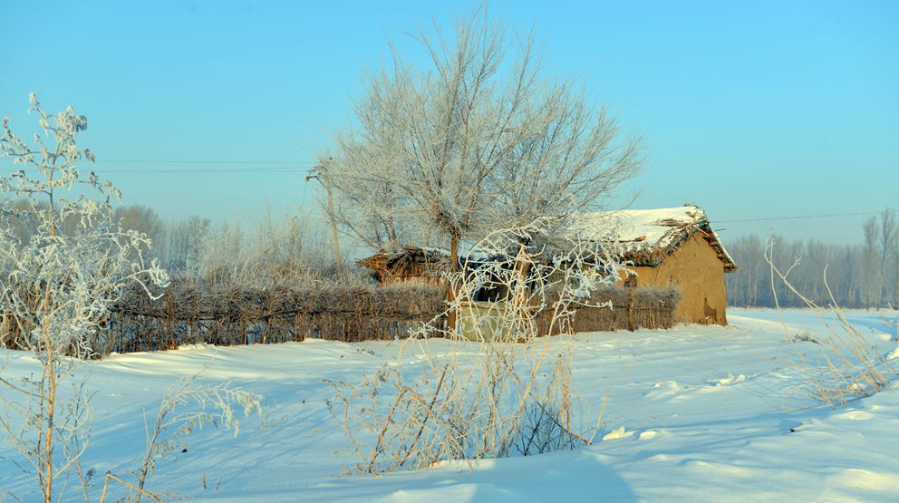 雪野 摄影 以影求知