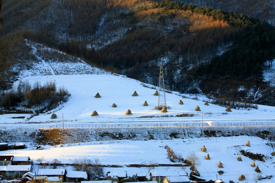 宁静的雪 摄影 马原