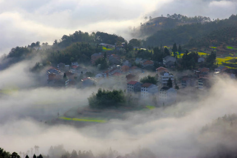 二.三月雾绕山村 摄影 茗岙忠