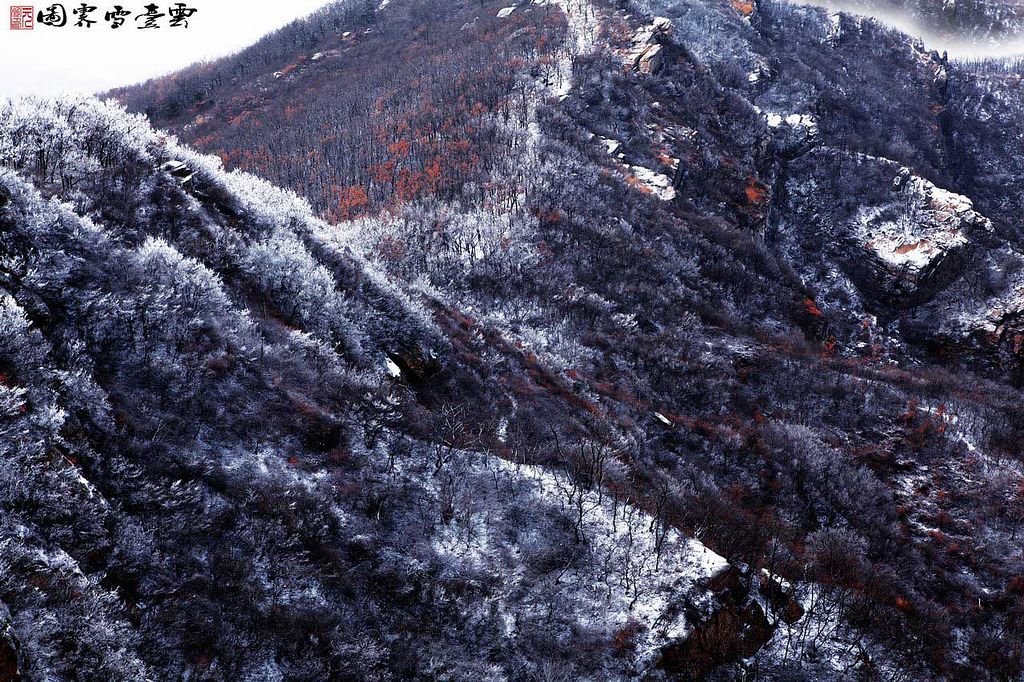 雪霁图 摄影 老土狼