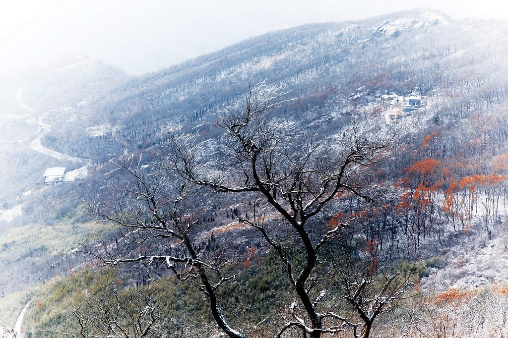 雪霁图2 摄影 老土狼