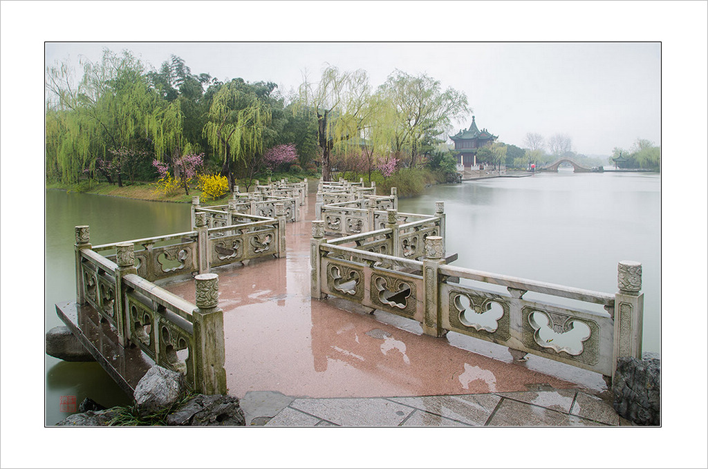 雨润九曲桥 摄影 江长海阔