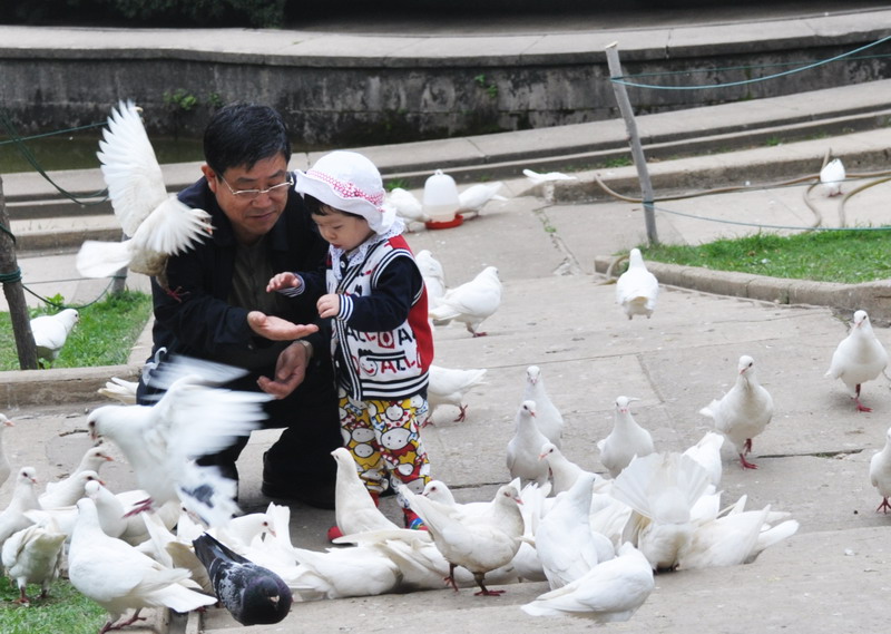 要吃的 摄影 乐观的平原