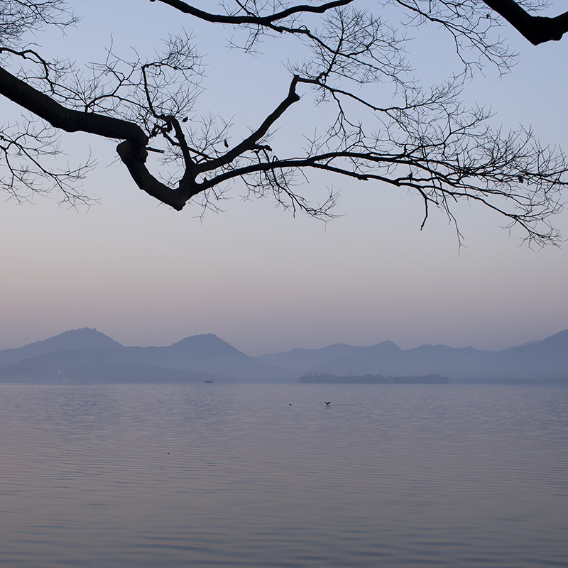 冬 摄影 dacheng