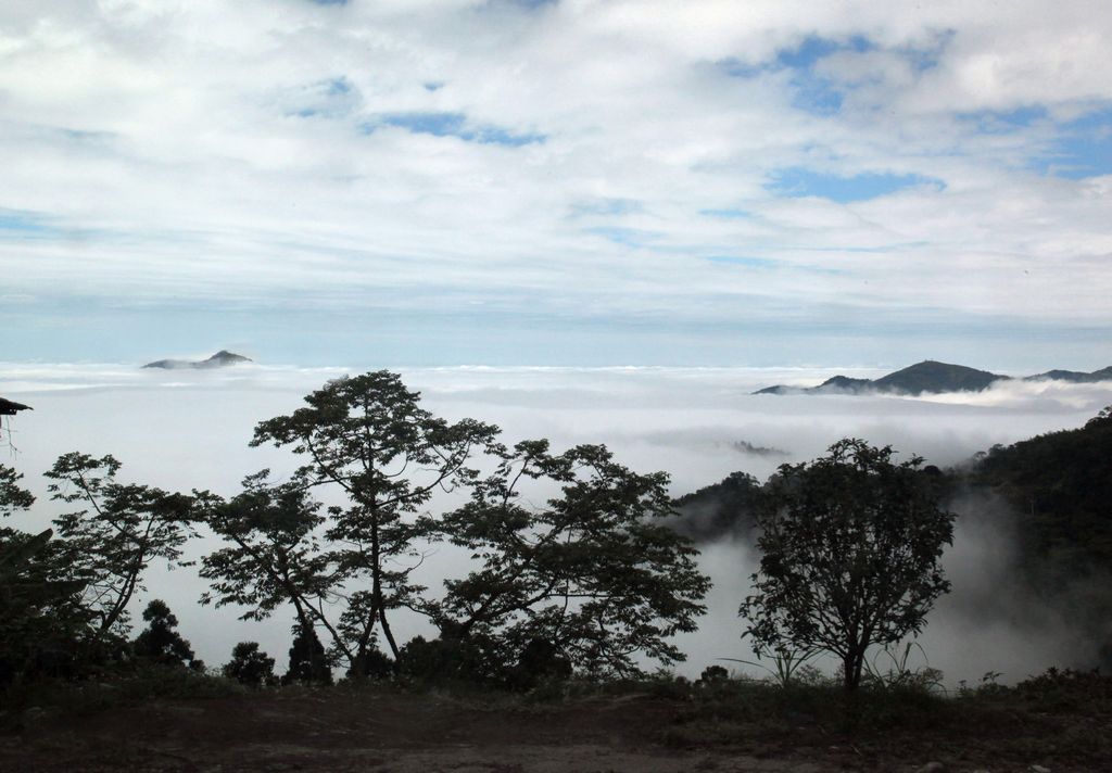 台湾宝岛行--梦中阿里山 摄影 柏岩