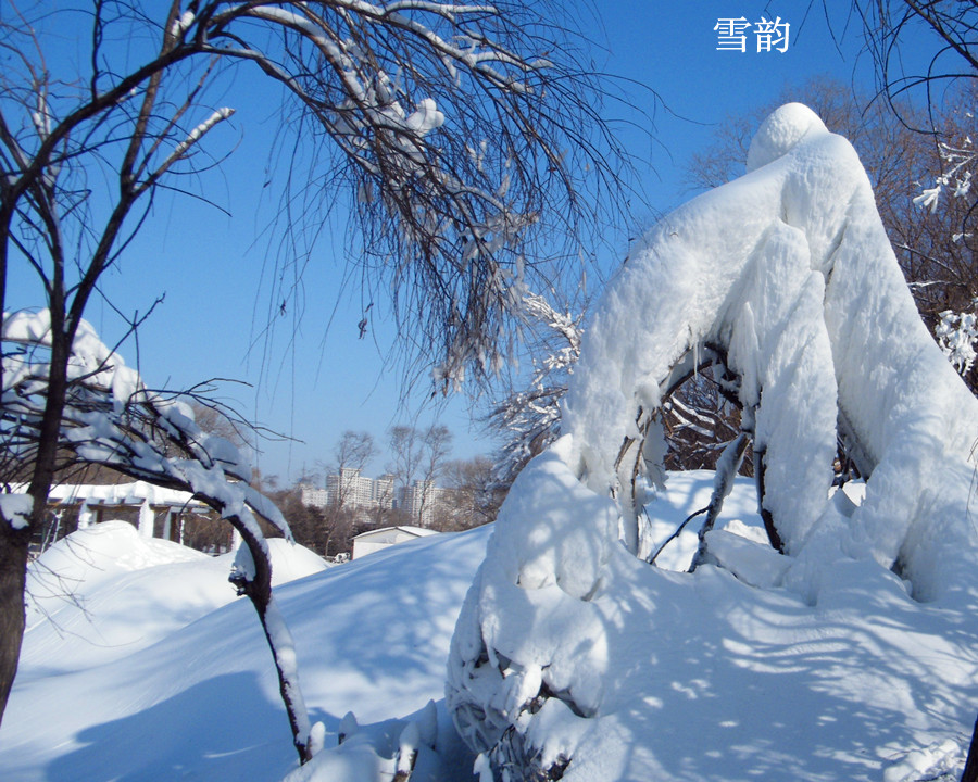 雪韵 摄影 好玉玲珑