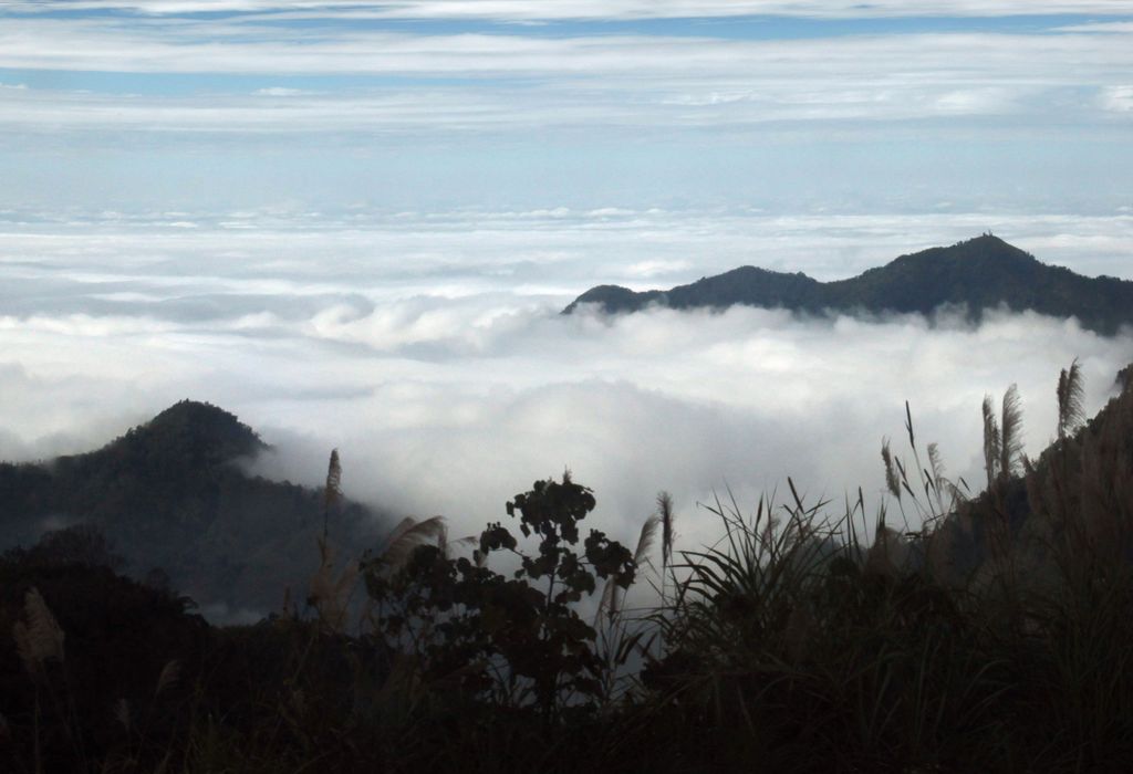 台湾宝岛行--梦中阿里山 摄影 柏岩