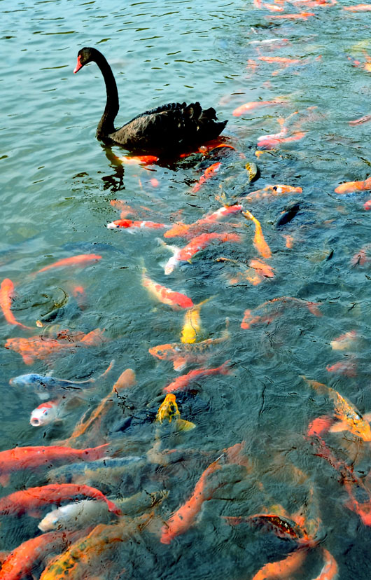 领队 摄影 阿添