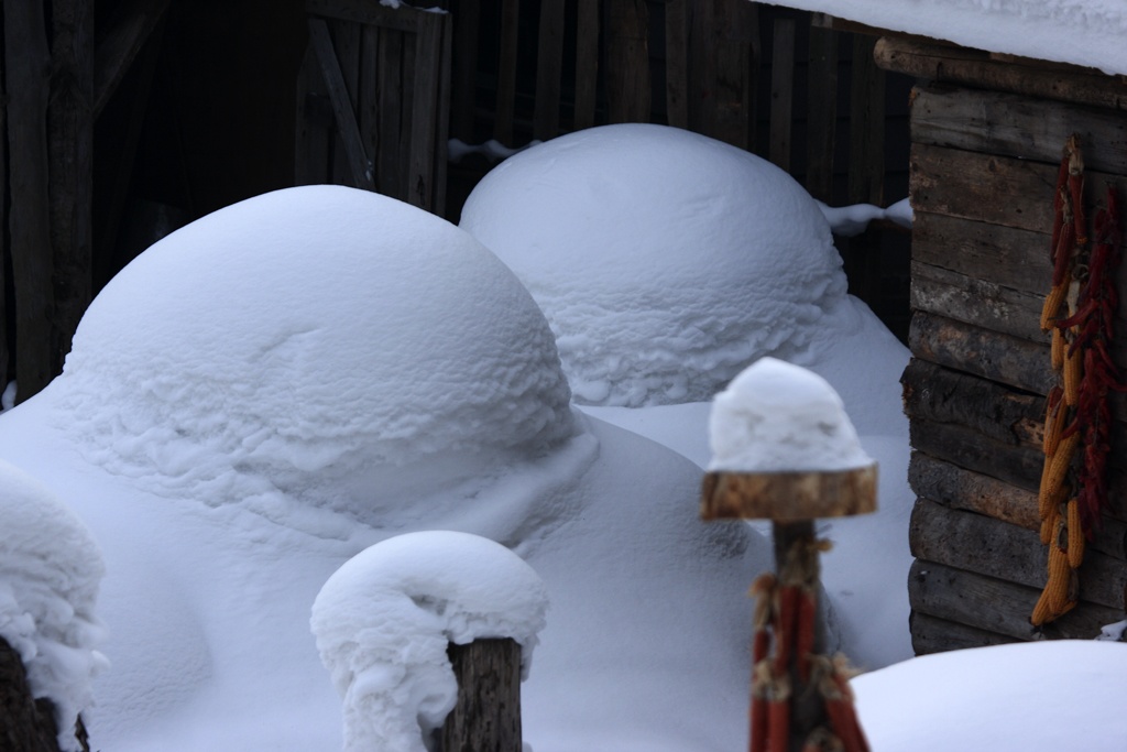 雪乡3 摄影 冷香茶