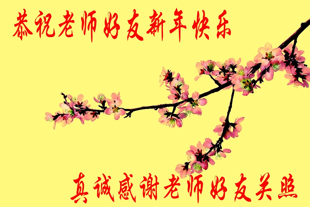 恭祝老师好友春节快乐 摄影 行摄愉快