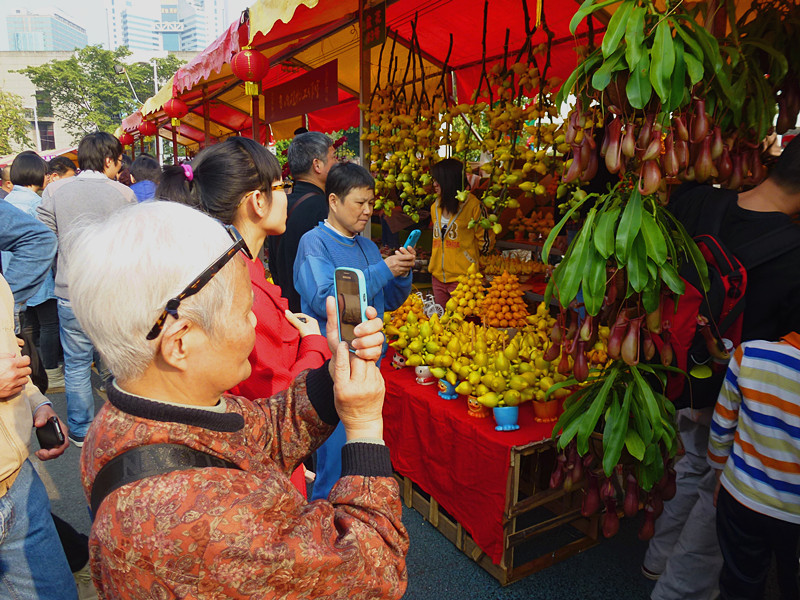 广州花市(七) 摄影 边疆