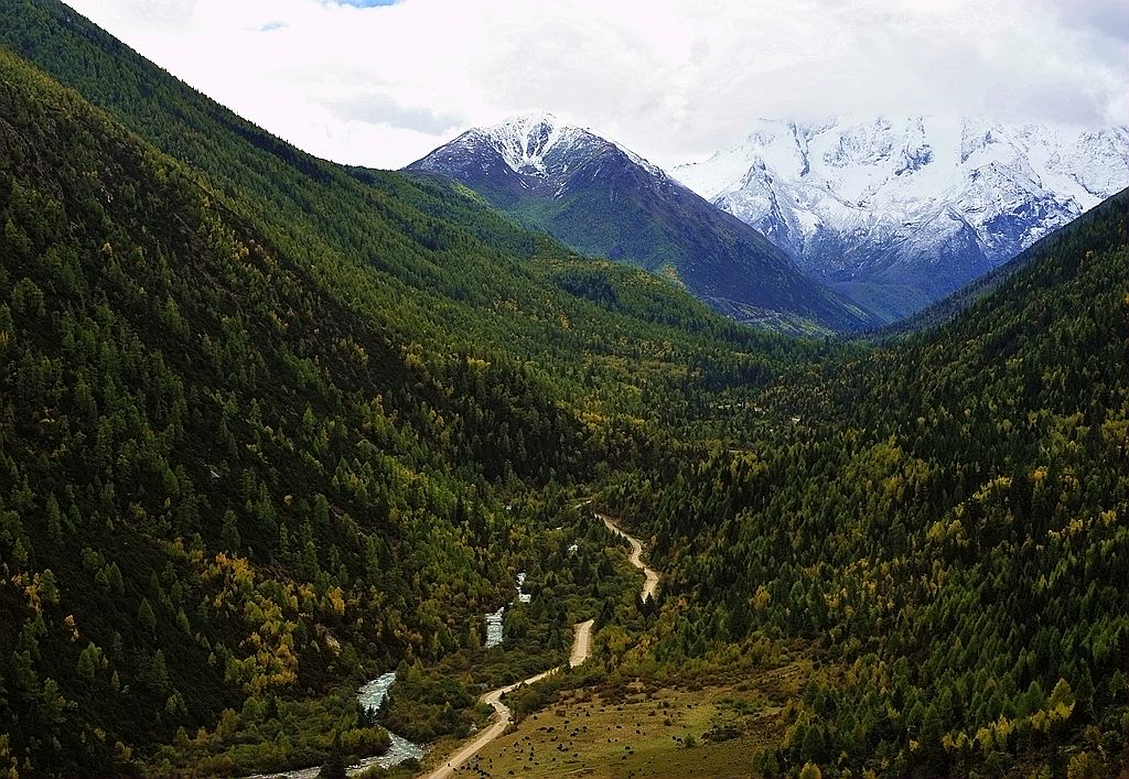 走近雅拉雪山 摄影 景仲平