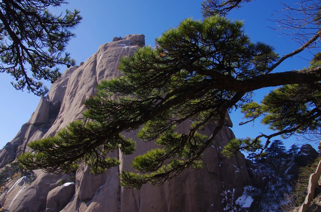 江山如画 69 黄山 摄影 寒心