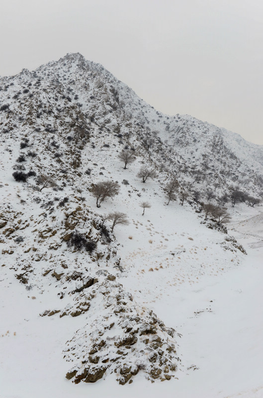 北国初雪 摄影 海逍遥