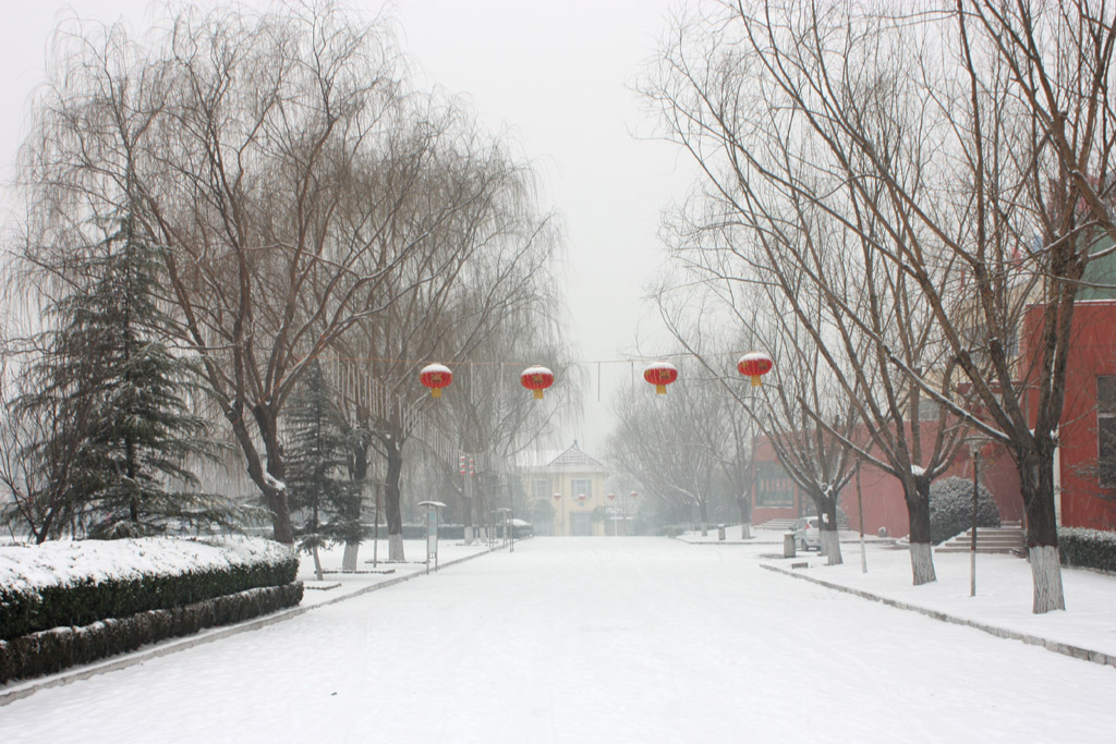 早春雪01 摄影 晋风