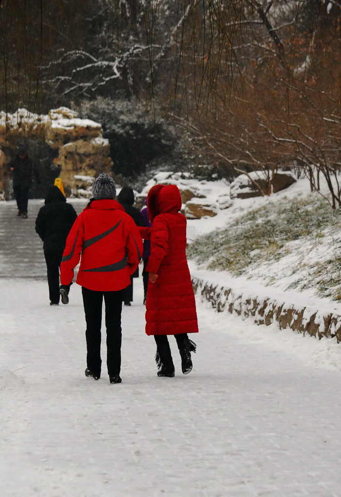 赏雪 摄影 三届