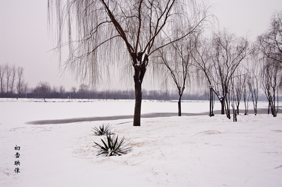 初雪 摄影 清修