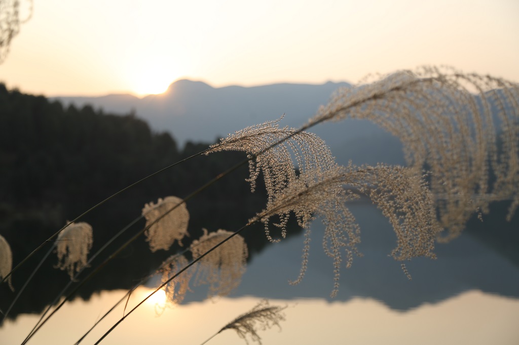 湖光山色 摄影 大漠柔然