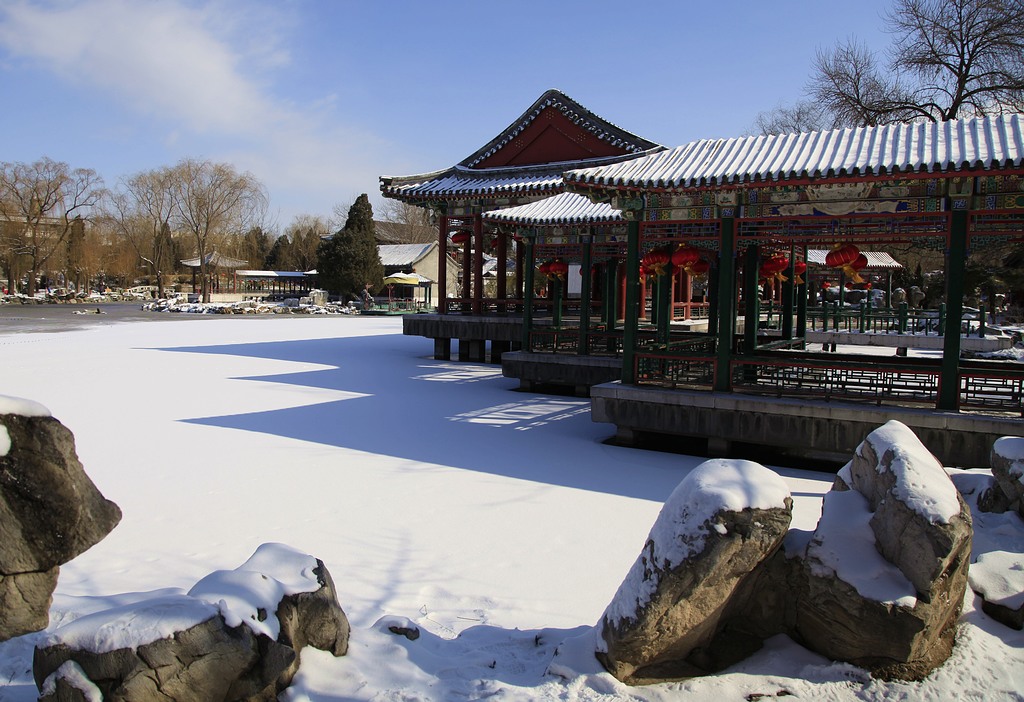 北京春雪 摄影 荆庐低唱