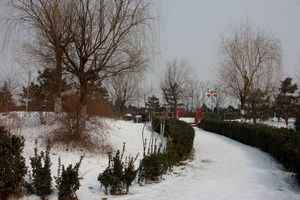 早春雪04 摄影 晋风