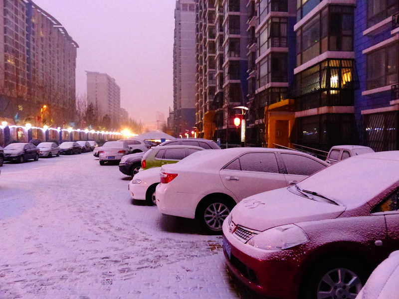 雪落春晓—小区雪景 摄影 寒梅傲雪