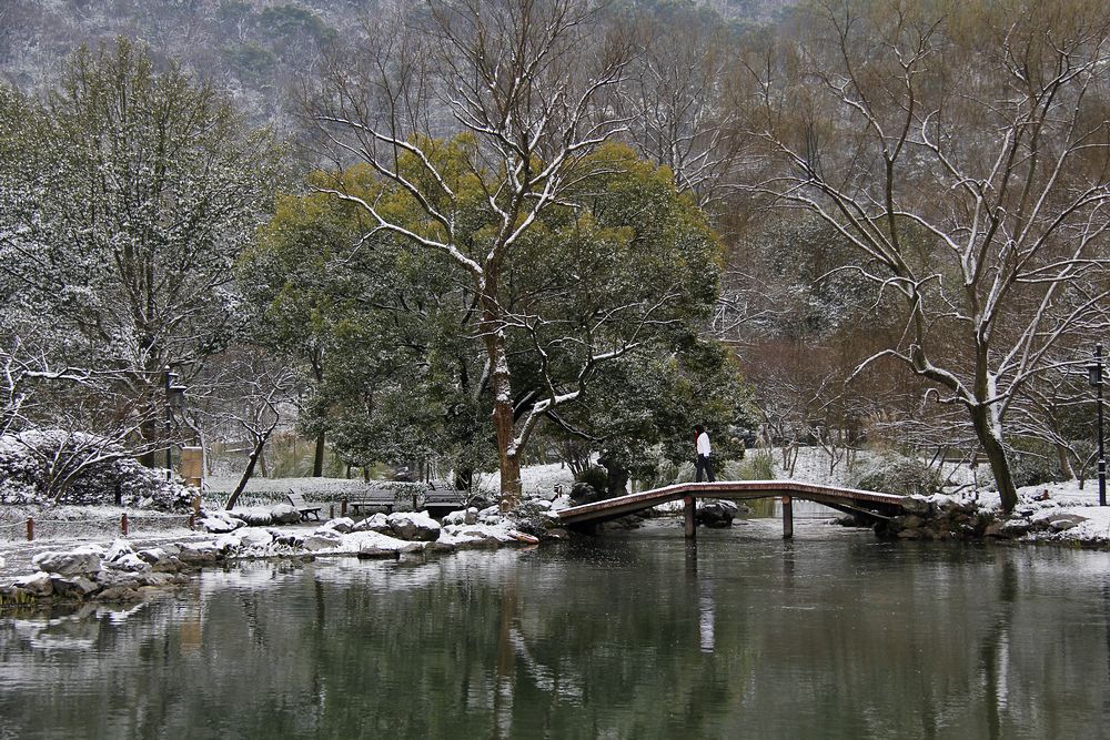 江南雪 （点大图） 摄影 金玉满堂