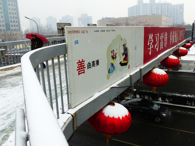 善曲高奏雪花飘 摄影 寒梅傲雪