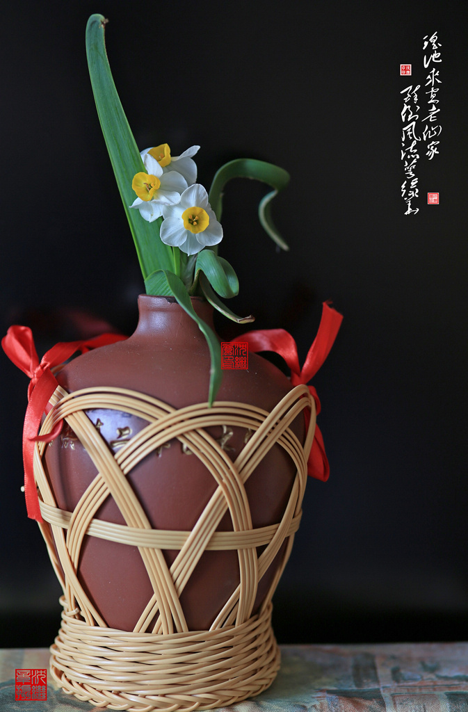 【自学插花】 摄影 shenjizhang