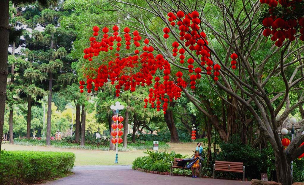 这里的春天真美丽 摄影 申申