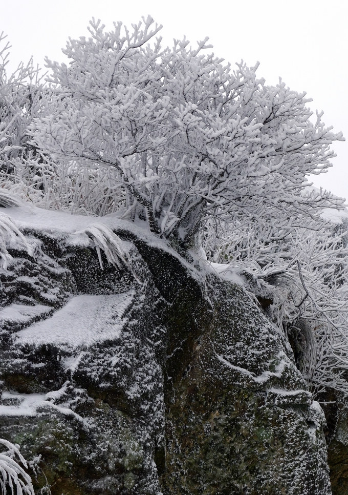 百岗山的雪 摄影 百威啤酒