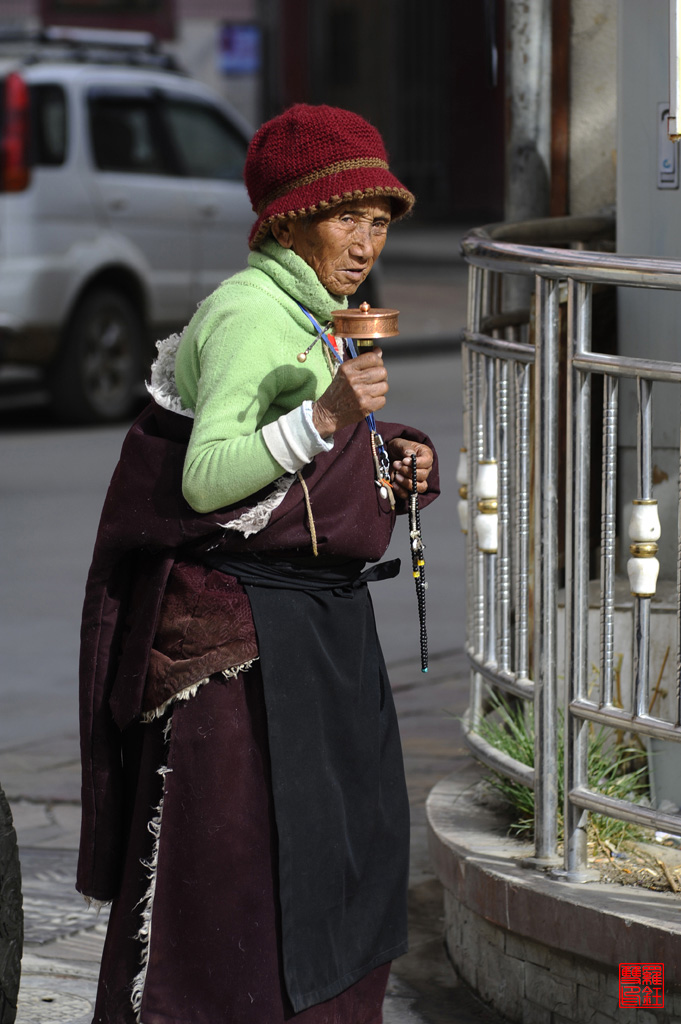 虔诚 摄影 孤崖一枝花