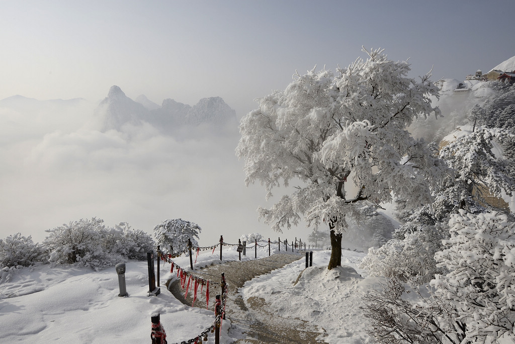 华山风雪 摄影 阳光灿烂中