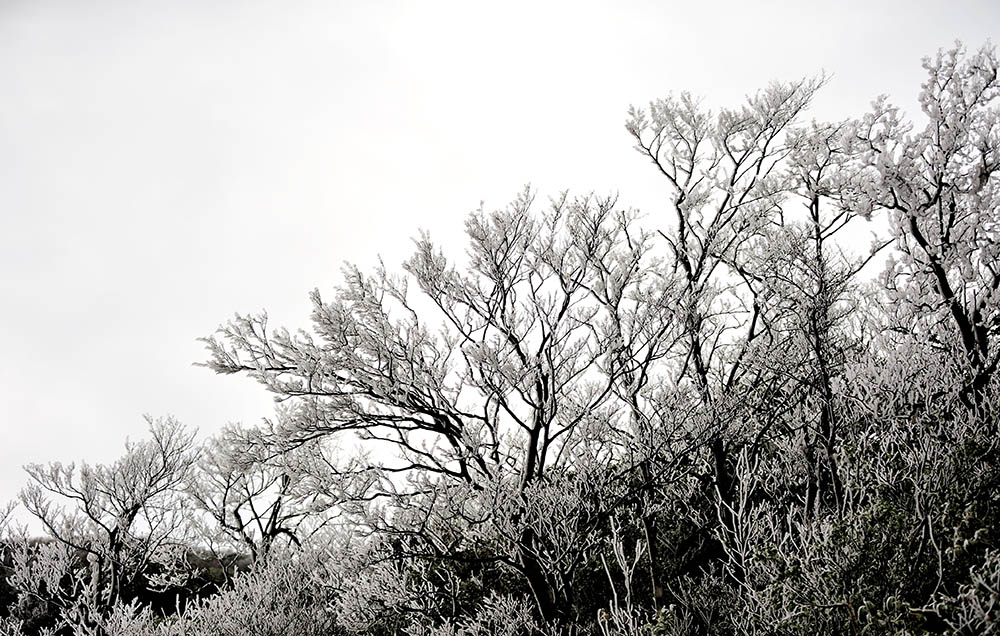 大明山冰景 摄影 LCLZ