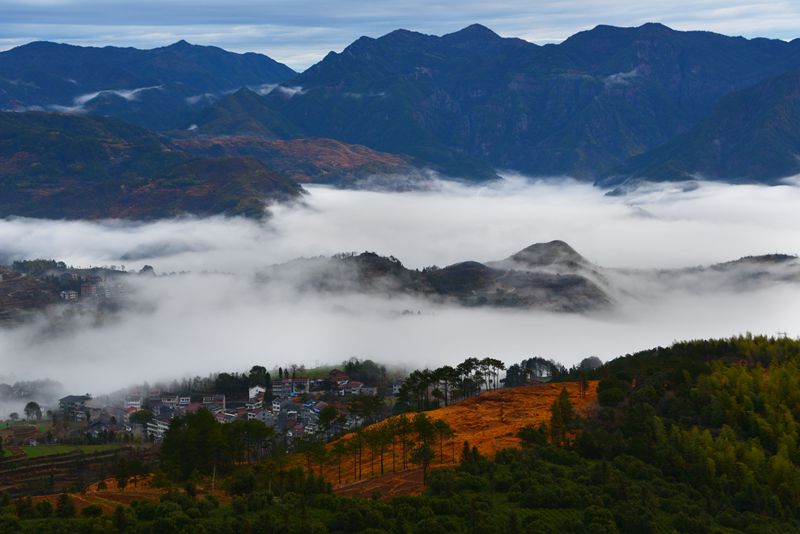 山村晨雾 摄影 茗岙忠