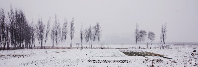 雪景 摄影 延川