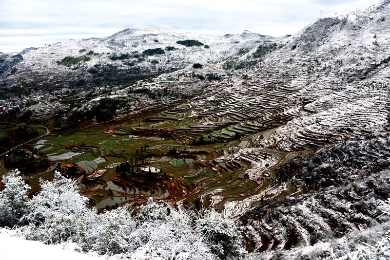 田园春雪 摄影 茗岙忠