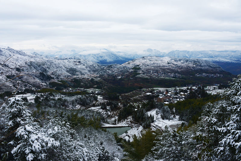 山岙春雪 摄影 茗岙忠